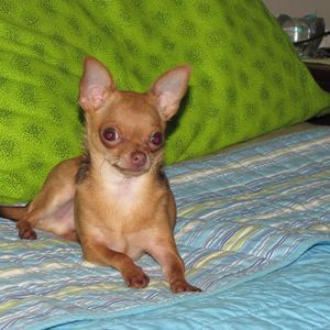 Meet your Posher, Bairdford